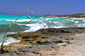 Crete - Chryssi Island